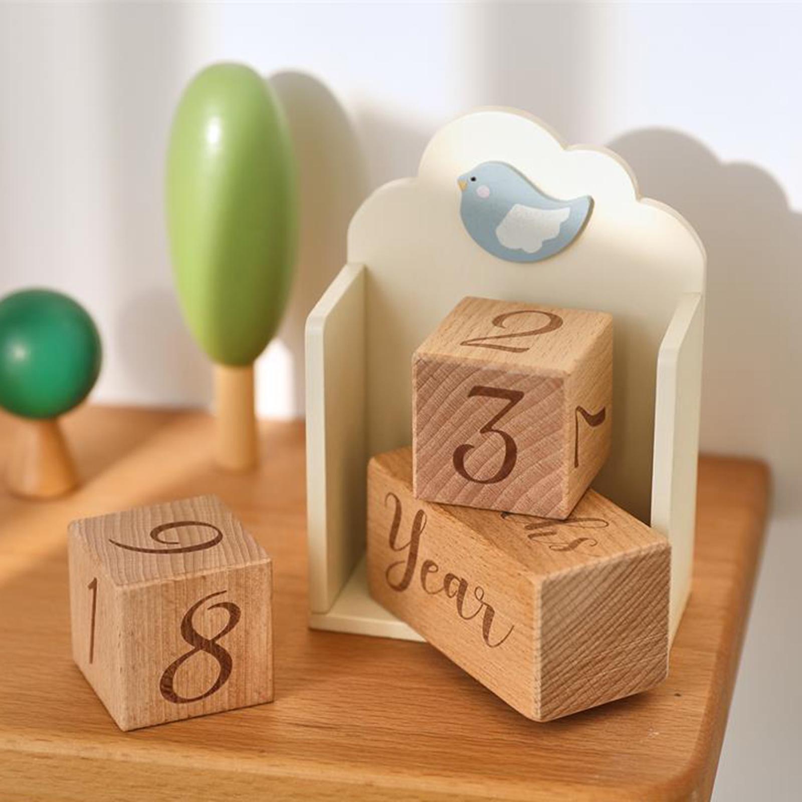 木製ベビー年齢ブロック ユニークなポータブル軽量実用的な保育 - Baby Nursery Age のレビューと価格